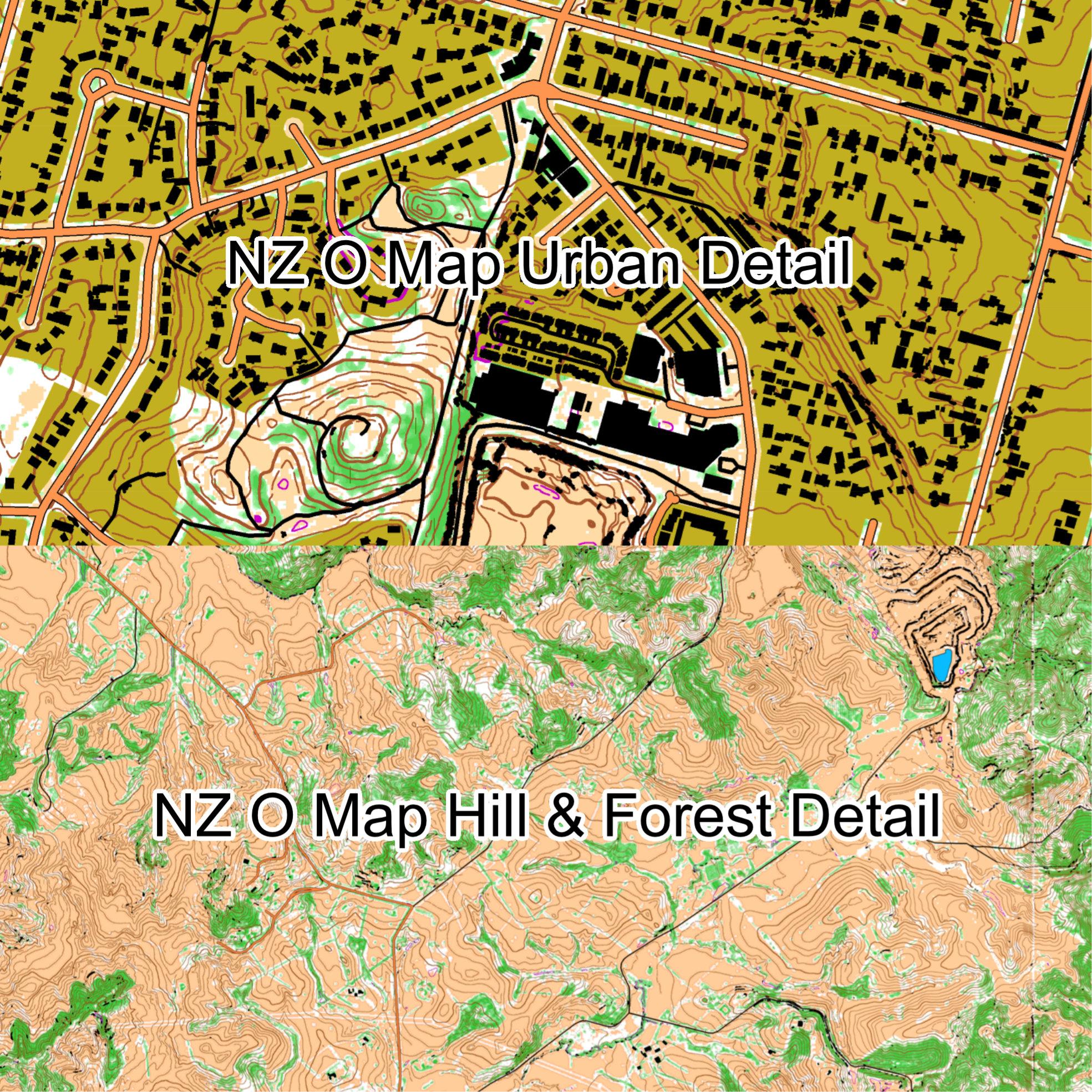 Read more about the article Auto Mapping New Zealand