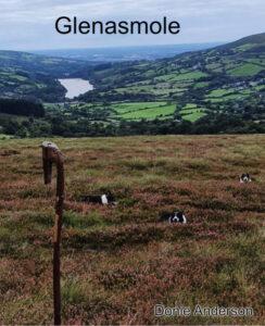 Read more about the article Glenasmole