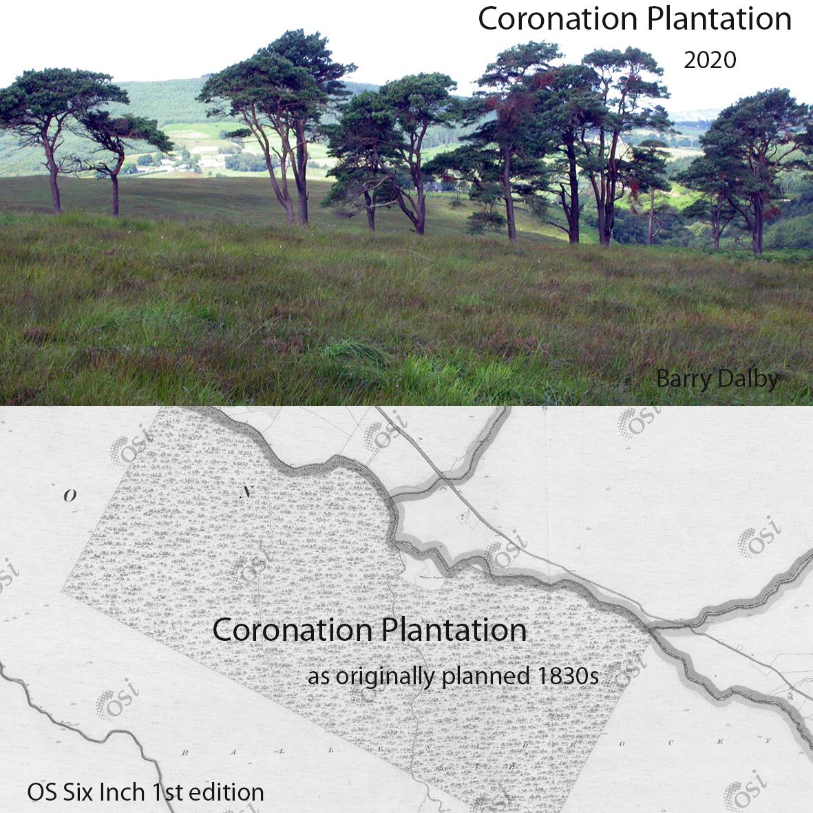 You are currently viewing Coronation Plantation