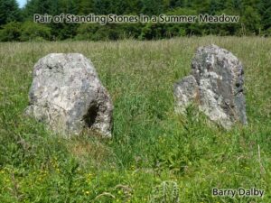 Read more about the article Standing Stones in a Meadow