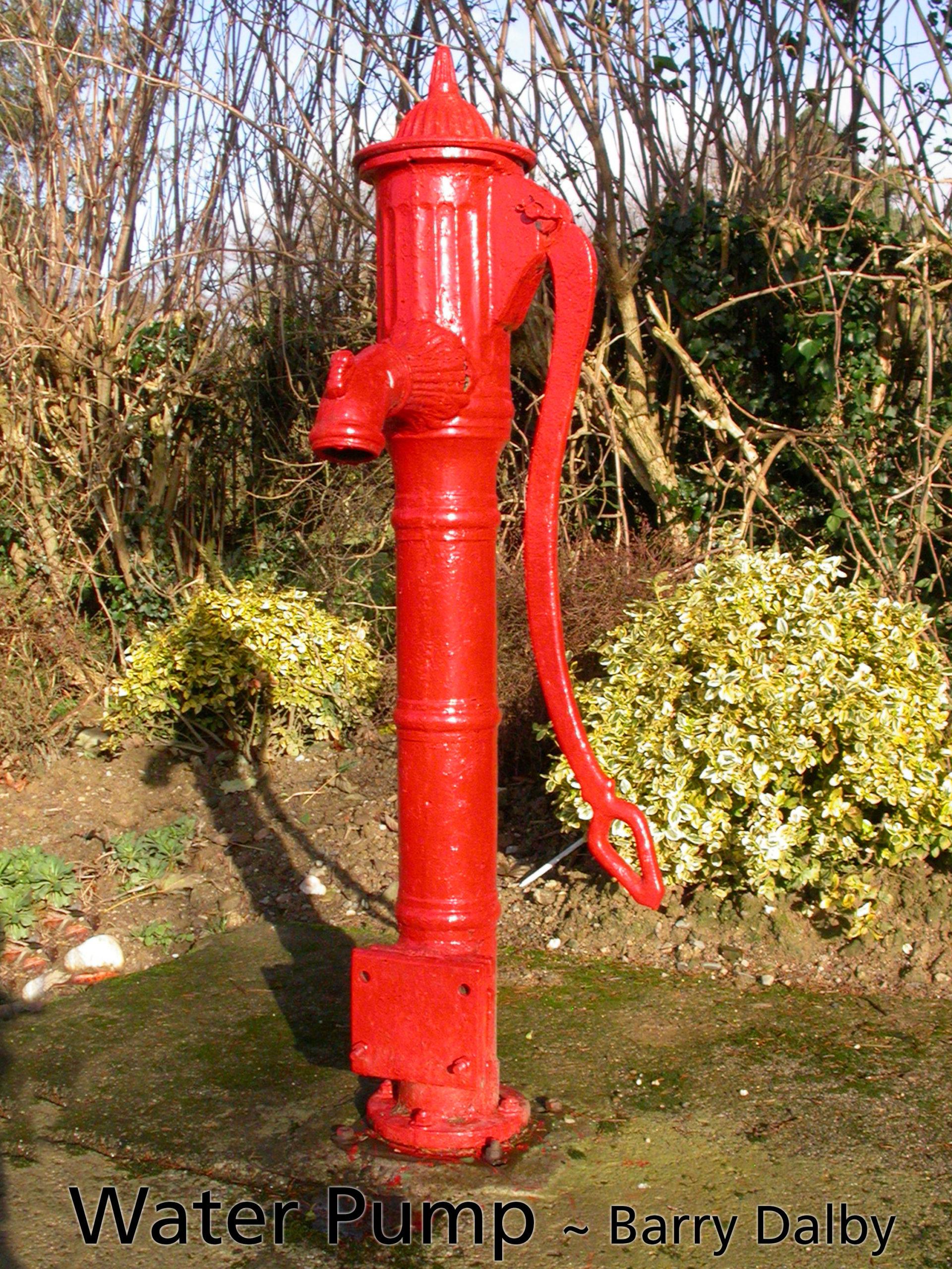 Read more about the article Water Pump