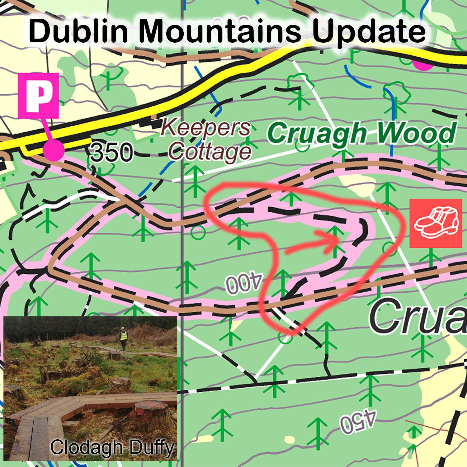 Read more about the article Cruagh Wood Update