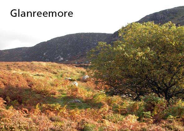 Read more about the article Glanreemore & Glanreebeg