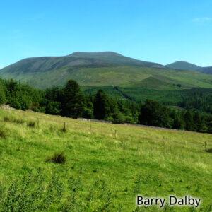 Read more about the article Galtee Challenge Walk 2023