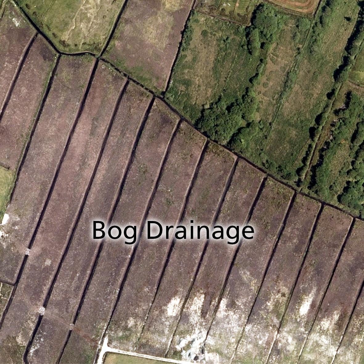 Read more about the article Bog Drainage