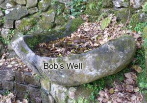 Read more about the article Bob’s Well