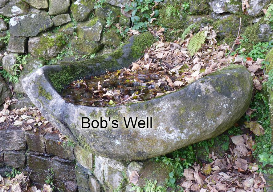 You are currently viewing Bob’s Well