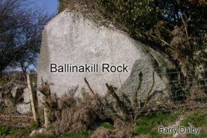Read more about the article Ballinakill Rock